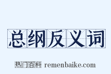 总纲反义词是什么意思的图片